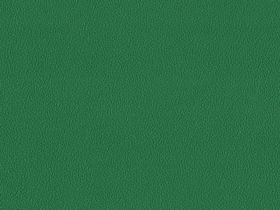 賽事型羽（yǔ）毛球地膠（彈性基礎）